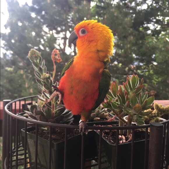 Meet your Poshers, Tara & Pete - Picture 6 of 8